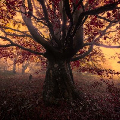 Pohlednice Prastaré spojení s duší – Zboží Dáma