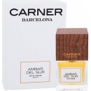 Carner Barcelona Ambar Del Sur parfémovaná voda unisex 100 ml