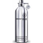 Montale Chocolate Greedy parfémovaná voda unisex 100 ml – Hledejceny.cz