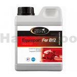 Horse Master Equisport Fer B12 1 l – Hledejceny.cz