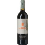 Tenuta Casenuove Chianti classico DOCG 2020 14% 0,75 l (holá láhev) – Hledejceny.cz