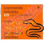 LOPERAMIDE GRINDEKS 2MG CPS DUR 20 – Hledejceny.cz
