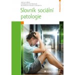 Slovník sociální patologie - Bělík Václav, Hoferková Stanislava, Kraus Blahoslav, kolektiv – Sleviste.cz