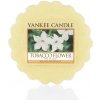 Vonný vosk Yankee Candle vonný vosk do aromalampy Tabacco Flower 22 g