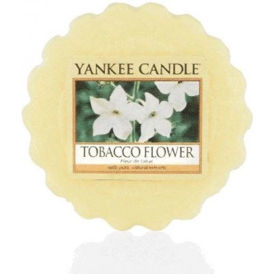 Yankee Candle vonný vosk do aromalampy Tabacco Flower 22 g – Zbozi.Blesk.cz