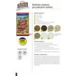 Forestina Standard Pokojové rostliny 5 l – Zboží Mobilmania