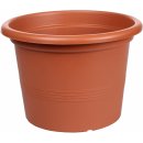 PLASTKON CAMPANULA květináč d17 cm TER