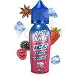 Just Juice Shake & Vape ICE Wild Berries & Aniseed 10 ml – Hledejceny.cz