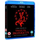 Twelve Monkeys BD