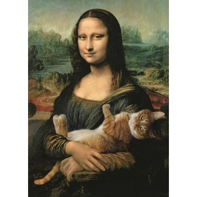 Rock David Mona Lisa s kočkou 48x34cm v krabici 40x27x4,5cm 500 dílků