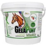 Orling Gelapony Vitamin 1,8 kg – Hledejceny.cz