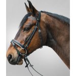 STAR Uzdečka Diamond bílá – Hledejceny.cz