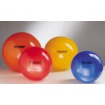 Ledragomma Physioball Standard 95 cm – Zboží Mobilmania