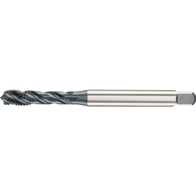 FORTIS Strojní závitník din371 hss-co5 černěný typ inox 6h tvar c m5 fortis – Hledejceny.cz