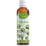 Serafin Gotukola tinktura z bylin 50 ml – Hledejceny.cz