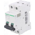 Schneider Electric A9N61531 – Zbozi.Blesk.cz