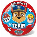 Míč Paw Patrol Team malý – Zboží Dáma