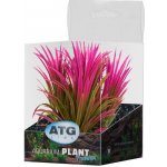 ATG Premium rostlina mini 8-14 cm 238 – Zboží Mobilmania