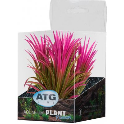 ATG Premium rostlina mini 8-14 cm 238 – Zboží Mobilmania