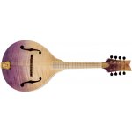 Ortega RMA200PF – Zboží Mobilmania