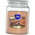 Bispol Aura Maxi Cinnamon 500 g – Zboží Dáma