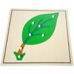 Montessori puzzle List – Zbozi.Blesk.cz