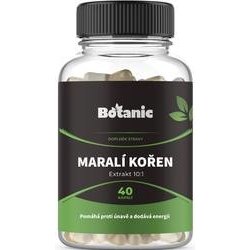 Botanic Gotu kola extrakt 10:1 40 kapslí