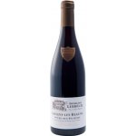 Domaine Lebreuil Savigny-les-Beaune 1er Cru Aux Peuillets 2023 13% 0,75 l (holá láhev) – Hledejceny.cz