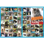 Bonaparte Pexeso: Kočky – Zbozi.Blesk.cz