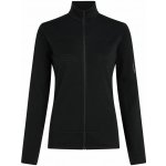 Icebreaker Wmns 300 RealFleece Descender LS Zip Black – Zboží Mobilmania