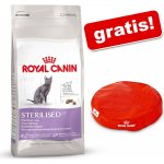Royal Canin Adult Cat Urinary Care Poultry 10 kg – Zboží Dáma