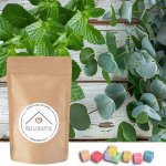 Od Janky Vonný vosk Máta a eukalyptus 24 g – Zbozi.Blesk.cz