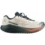 Salomon Aero Blaze 4 Grvl Gtx černé – Hledejceny.cz