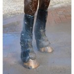 Boots Premier Equine Výběhové kamaše Turnout Mud Fever černé – Zboží Dáma