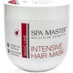 Spa Master Intenzivní maska ​​pro barvení vlasy 1000 ml – Hledejceny.cz