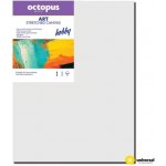 Octopus Hobby malířské plátno 35 x 50 cm 280 g/m2 – Zboží Dáma