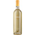 Capichera Lintori Vermentino Sardegna 2023 Bílé 13,5% 0,75 l (holá láhev) – Hledejceny.cz