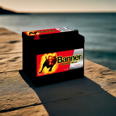 Banner Power Bull 12V 60Ah 540A P60 09 – Zboží Mobilmania