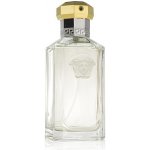 Versace The Dreamer toaletní voda pánská 100 ml tester – Hledejceny.cz