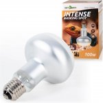 Repti Zoo Intense Basking Spot 100 W – Zboží Dáma