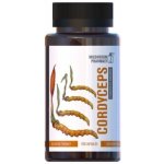TML Cordyceps 120 tobolek T021 – Hledejceny.cz
