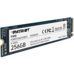 Patriot P300 256GB, P300P256GM28 – Zboží Živě