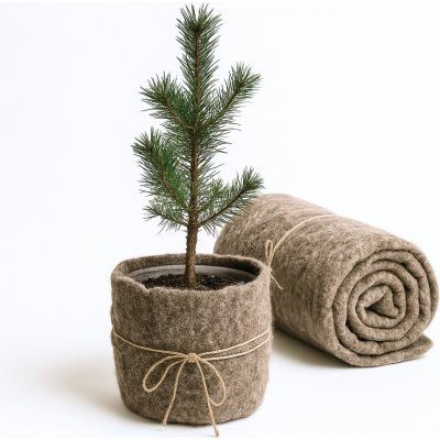 Unigardia 250 g/m2 80 x 500 cm hnědá – Zboží Mobilmania