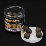 Mikbaits boilies Gangster v dipu 250ml 16mm G2 Krab & Ančovička & Asa – Hledejceny.cz