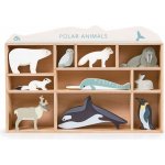 Tender Leaf Toys polární zvířátka na poličce Polar Animals Shelf 10 druhů polárních živočichů – Hledejceny.cz