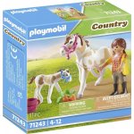 Playmobil 71243 Kůň s hříbkou – Zboží Mobilmania