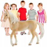 Schleich 13911 Horse Club Akhal-Teke stallion – Zboží Mobilmania