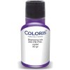 Razítkovací barva Coloris razítková barva 200 PR/P fialová 50 ml