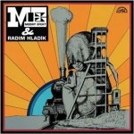 Blue Effect Modrý Efekt Radim Hladík LP – Zboží Dáma