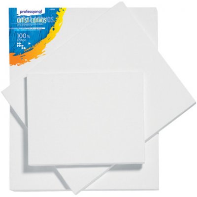 Malířské plátno JUNIOR Professional 50x70 cm 449251 – Zboží Mobilmania